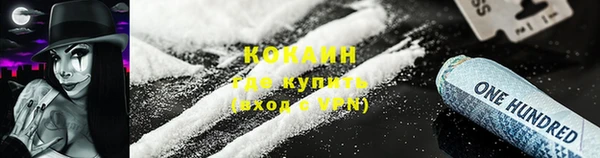 молекула духа Кулебаки