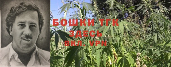 молекула духа Кулебаки