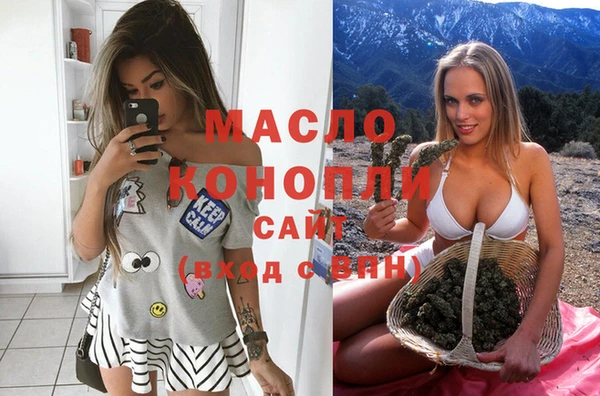 молекула духа Кулебаки