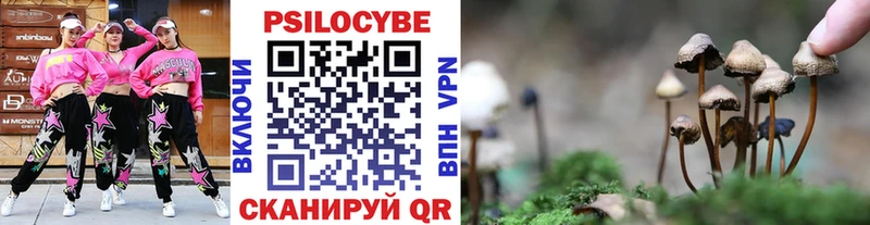 Галлюциногенные грибы Magic Shrooms  Купить где  Невьянск 